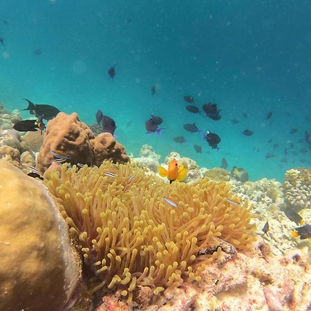 Kamadhoo Inn Eksteriør bilde