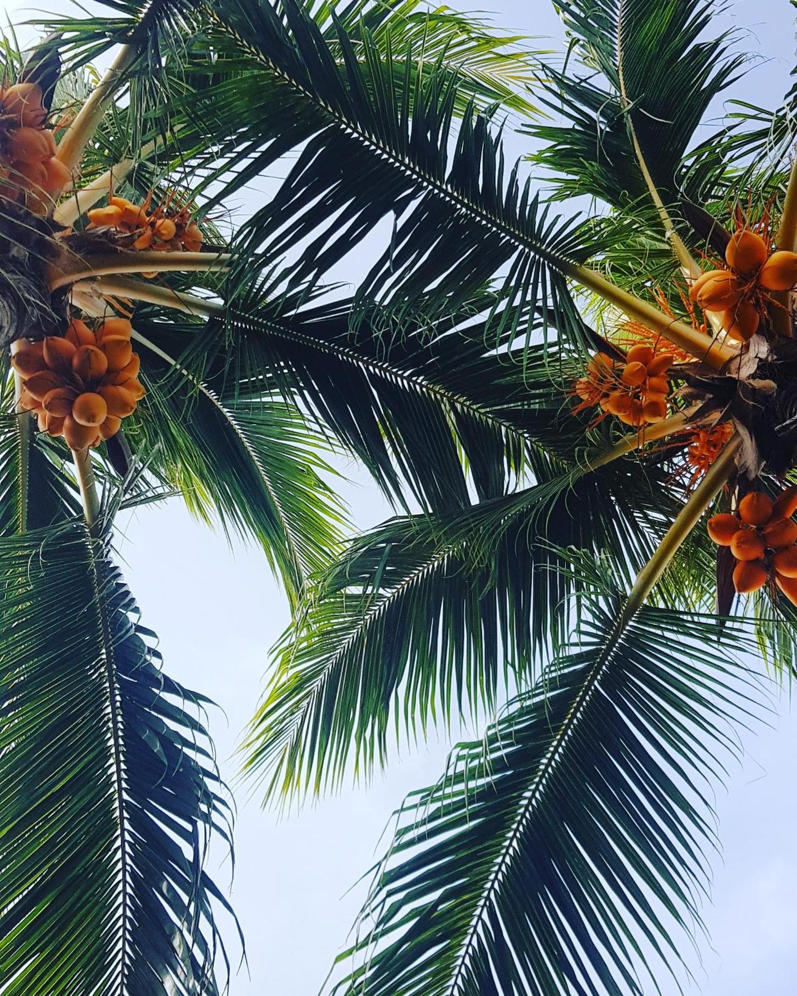 Kamadhoo Inn Eksteriør bilde