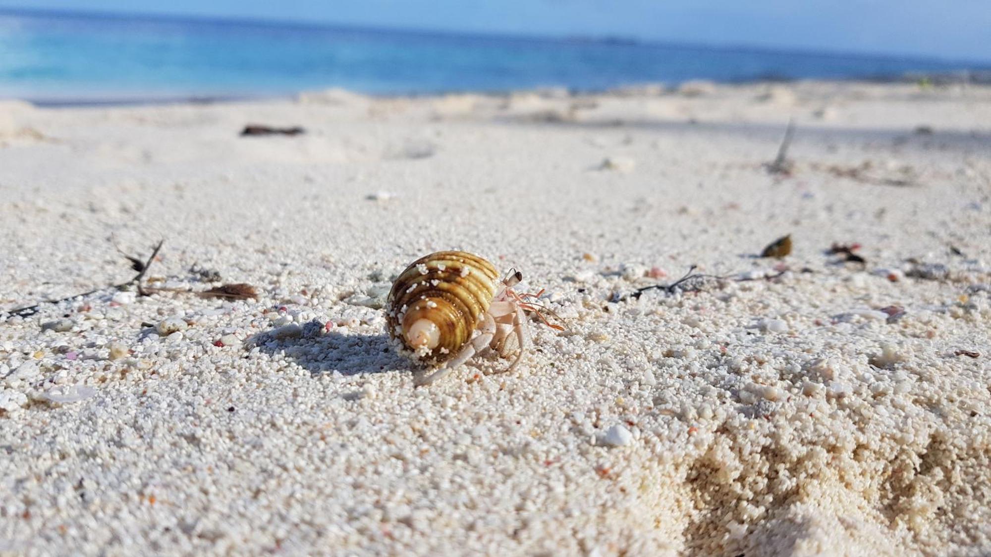 Kamadhoo Inn Eksteriør bilde